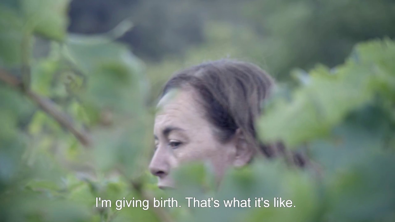 Wine Calling / Wine Calling - Le Vin se lève (2018) - Trailer (English Subs)