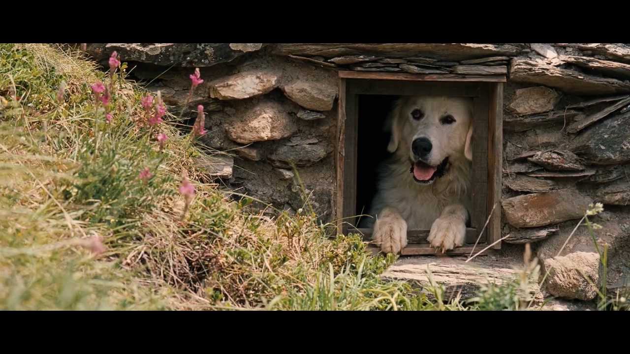 Belle and Sébastien / Belle et Sébastien (2013) - Trailer English Subs