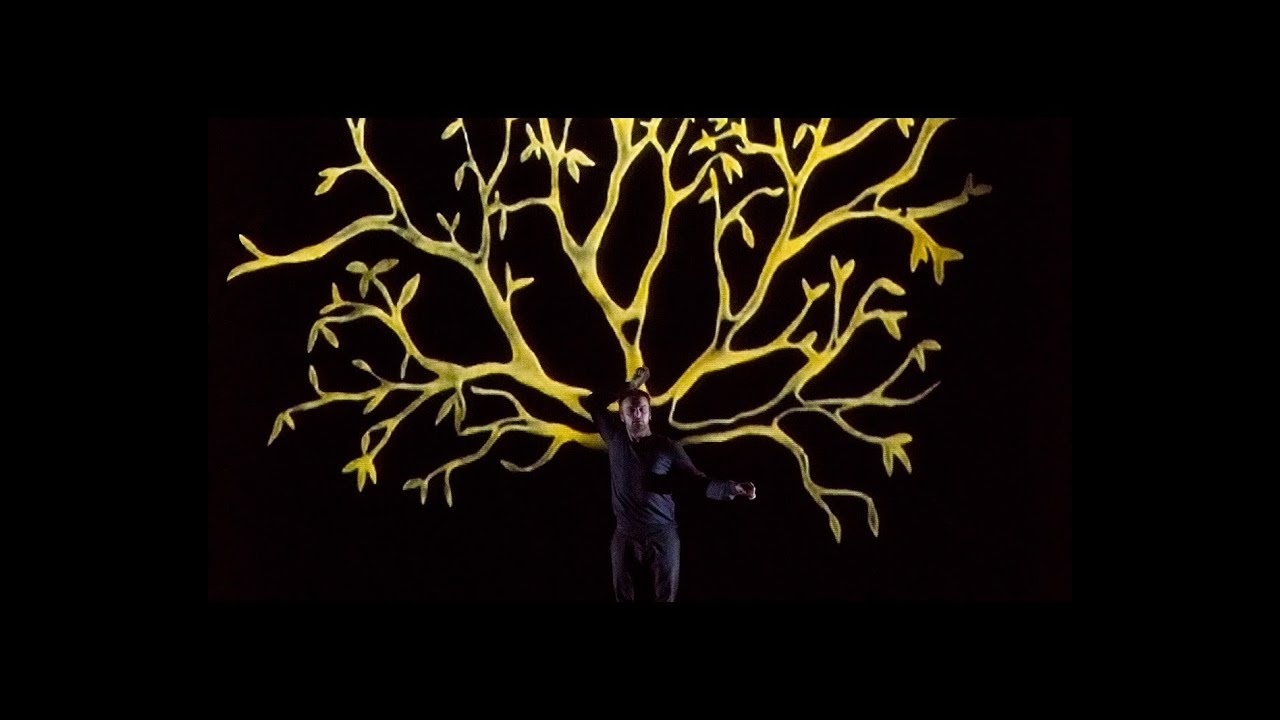 Contemporary dance show - for childrens - CFB 451 - La forêt ébouriffée - Teaser Ben Aïm Brothers