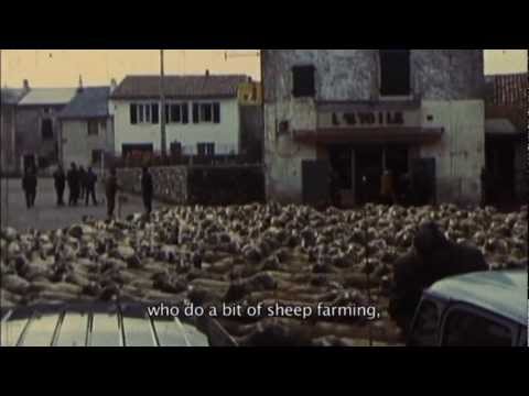 LEADERSHEEP (Tous au Larzac) - by Christian Rouaud