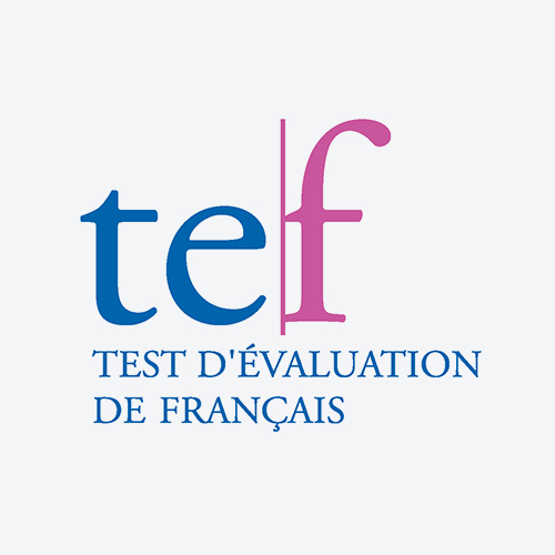TEF-Exams TEF-Exams